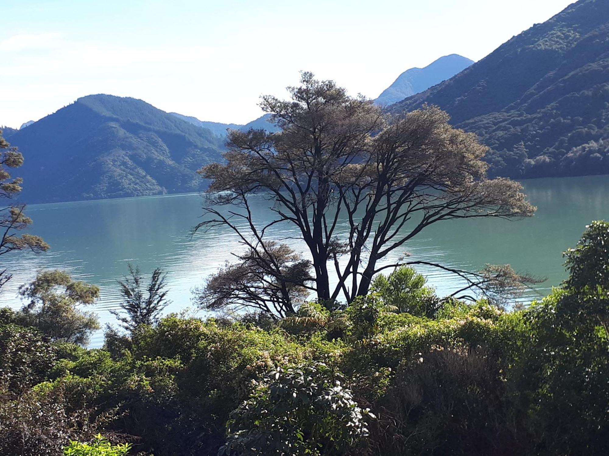Marlborough Sounds Accommodation ハヴロック エクステリア 写真